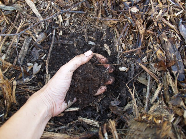 Diggin' in the Mulch