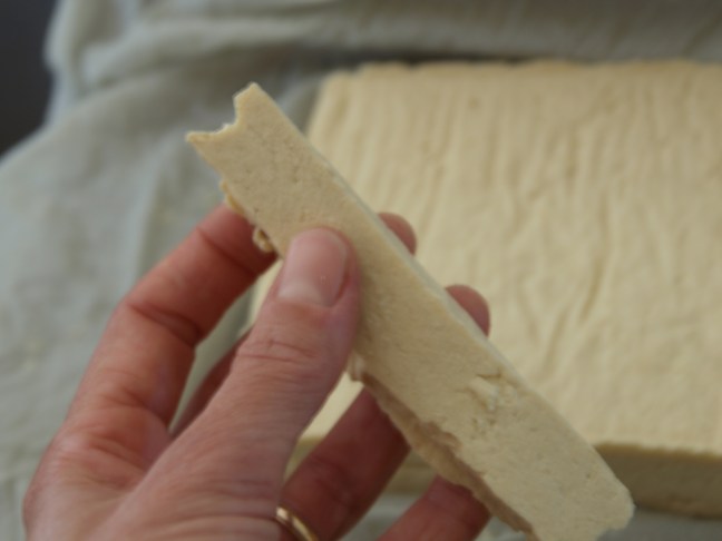 Tofu -- Delicious!