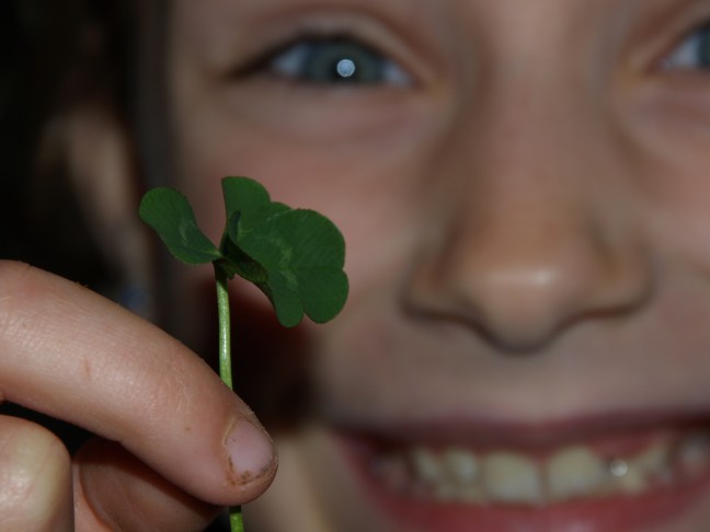 I'm Looking Over a Four-Leafed Clover...