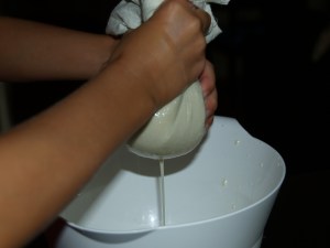 Making Milk