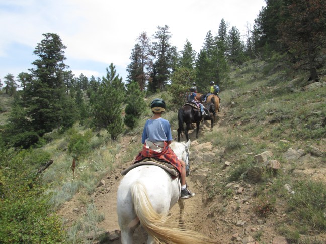 An Easy Uphill Hike - Horseback riding in Estes Park, CO