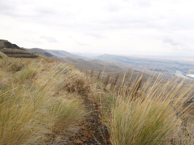 Delicate Tundra - Roadside overlook, Lewiston, ID