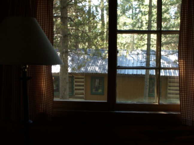 Rustic Forget-Me-Nots - Back to basics with minimalist living, Grand Teton, WY