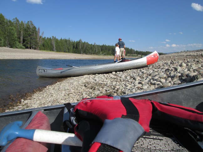 Slow Speed - Eagle, Osprey, and Heron watching from the slow lane, Jackson Lake, WY