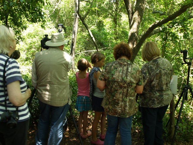 Comparing Journals -- Seasoned Birders are Impressed