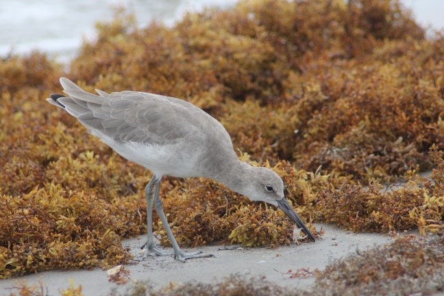 Hanging on for dear life