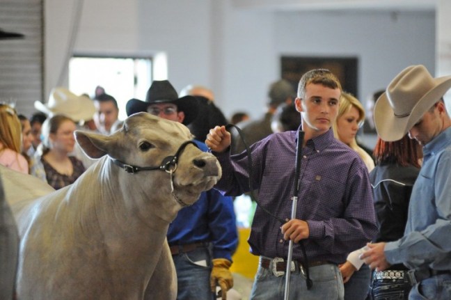 Future_Food_of_America