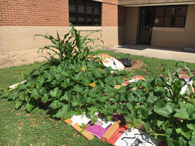 compost-three-sisters